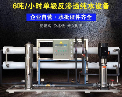 6噸/小時單級反滲透純水設備